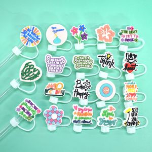 Eco-friendly Reusable Drinking Straw Set With Tips And Lids - Jinjiang Naike Promo Shoe Charms Factory